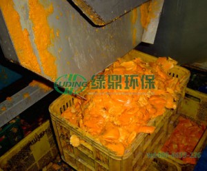 大型的橙子橙汁壓榨機是怎樣的？